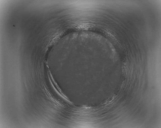 X0000053140504200508081348