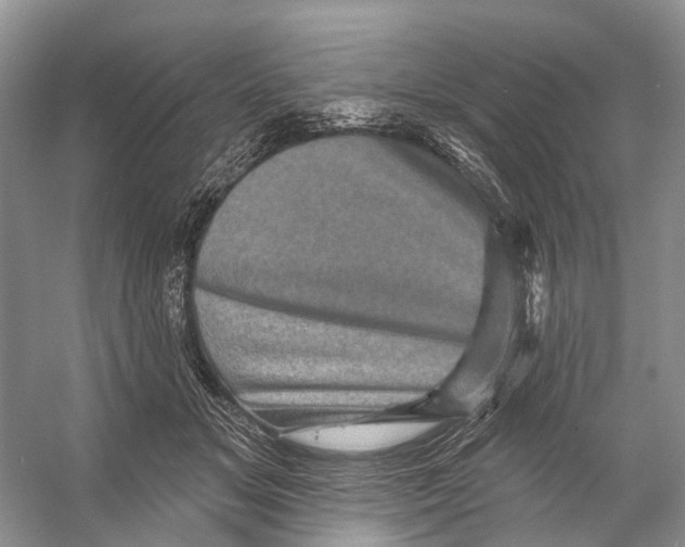 X0000053140509200508081348