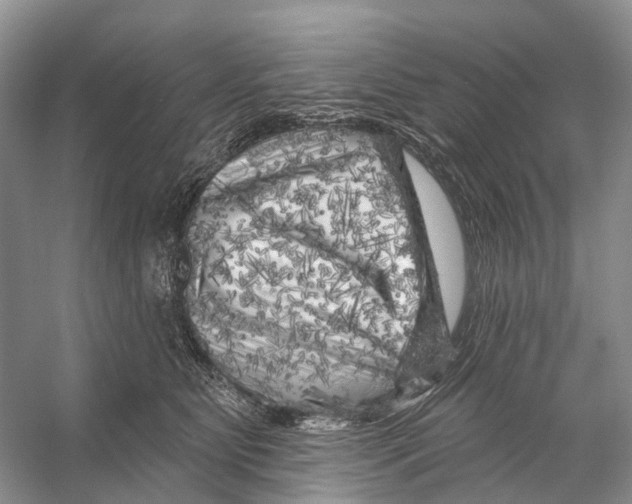 X0000053140515200508081348