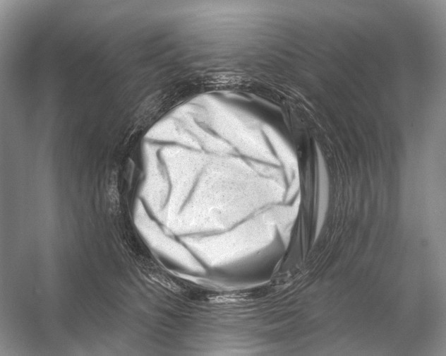 X0000053140516200508081348