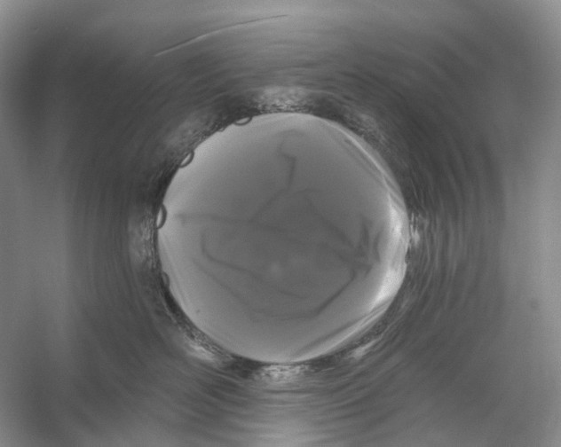 X0000053140526200508081347