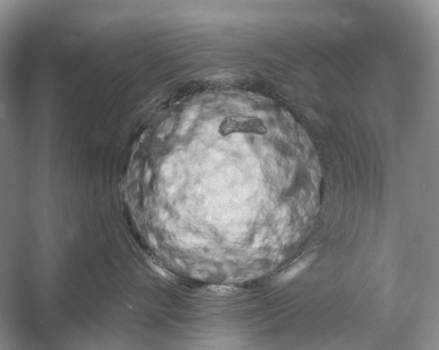 X0000053140528200508081347