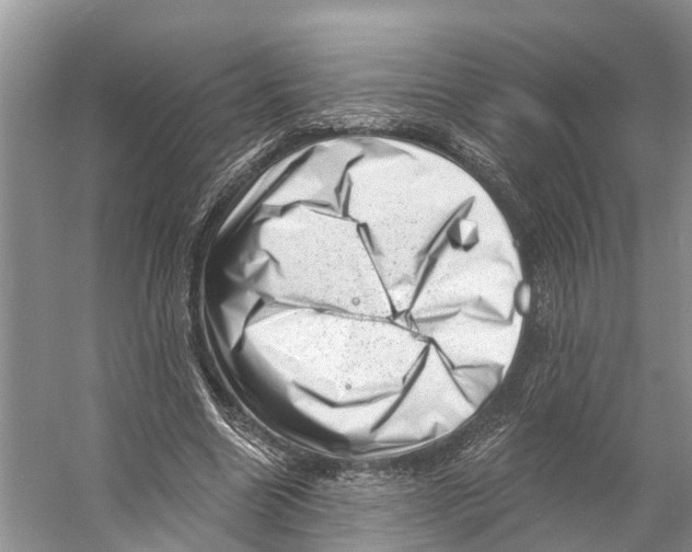 X0000053140538200508081347