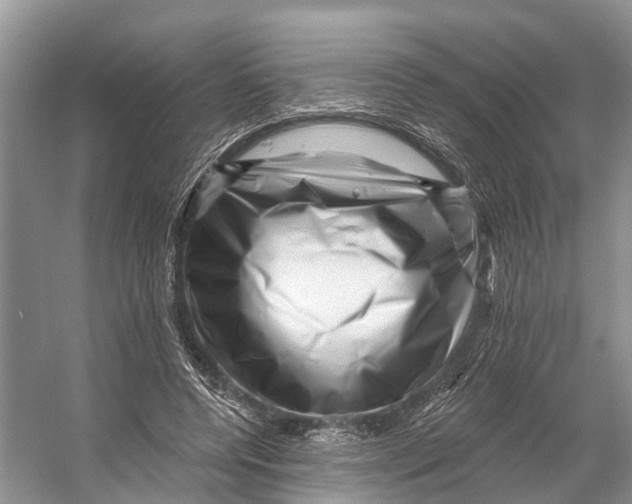 X0000053140544200508081347