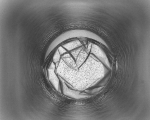 X0000053140546200508081347