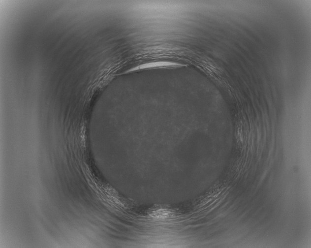 X0000053140551200508081347