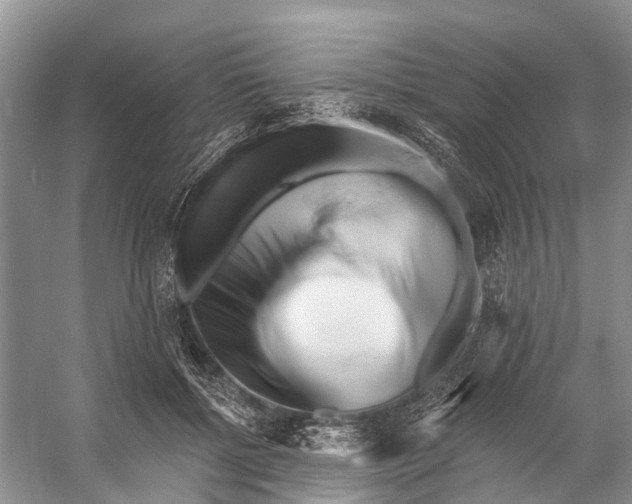 X0000053140552200508081347