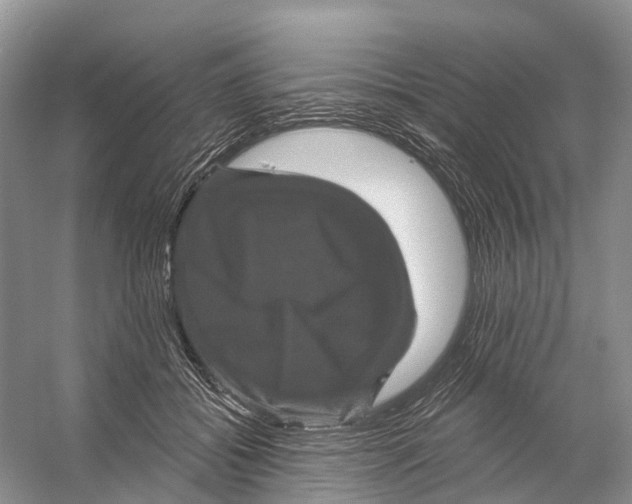 X0000053140556200508081347