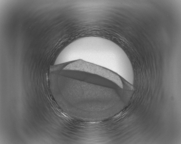 X0000053140558200508081347