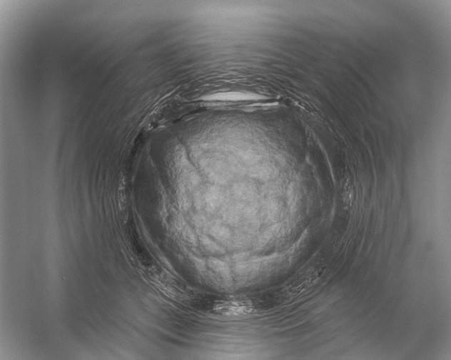 X0000053140559200508081347