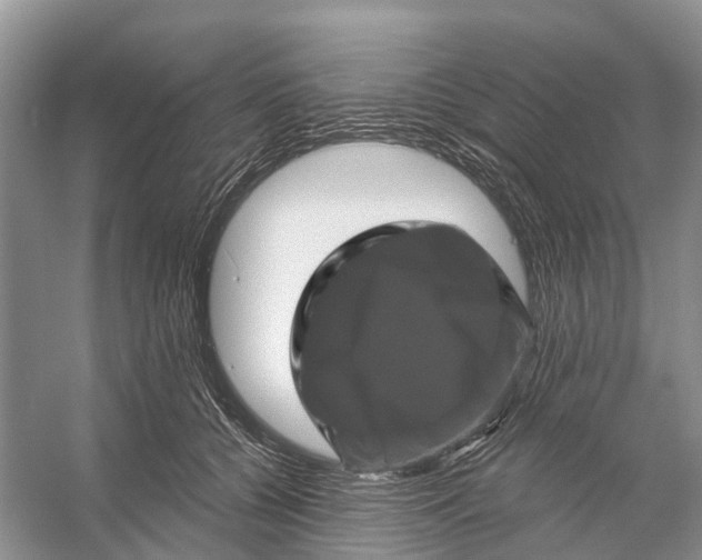 X0000053140560200508081347