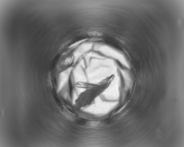 X0000053140575200508081347