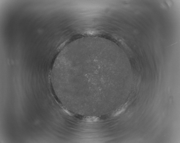 X0000053140576200508081347