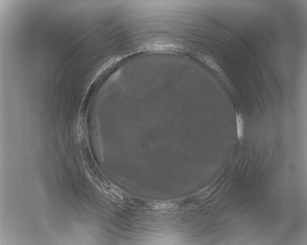 X0000053140579200508081346