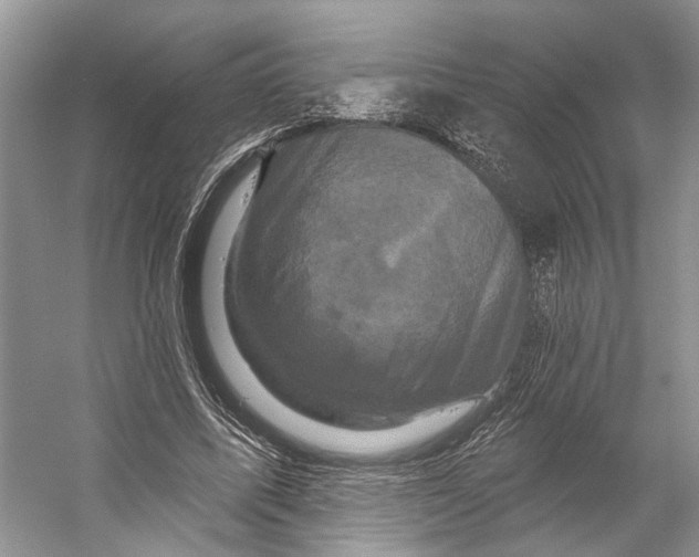X0000053140587200508081346