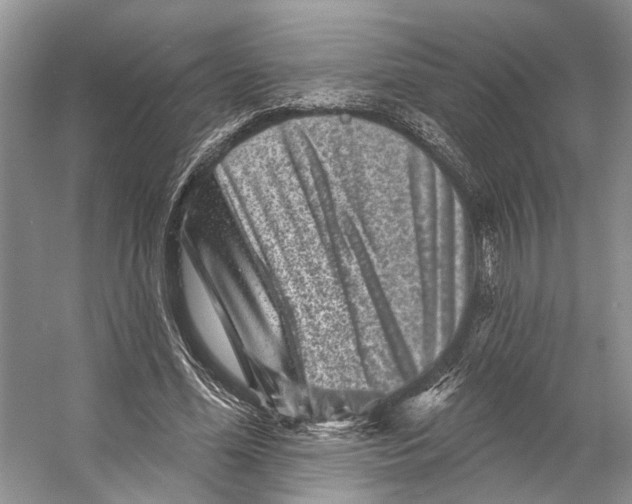 X0000053140588200508081346