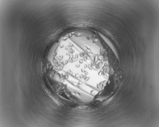 X0000053140589200508081346