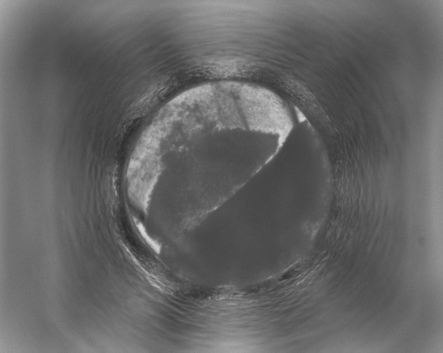X0000053140590200508081346