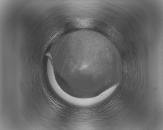 X0000053140591200508081346