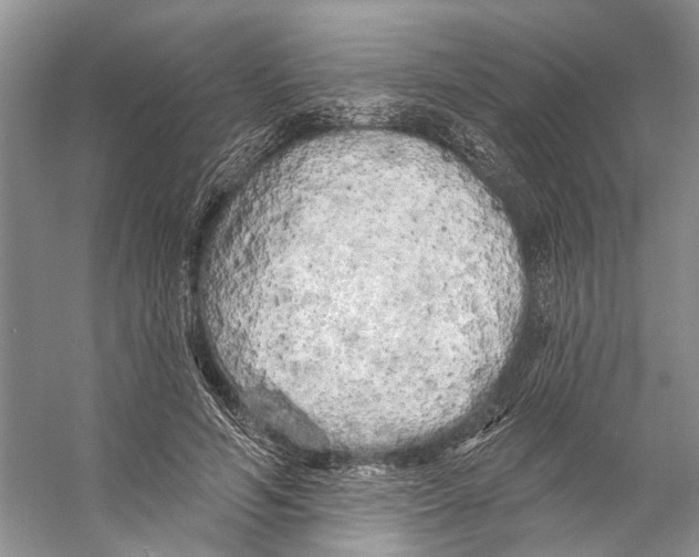 X0000053140594200508081346