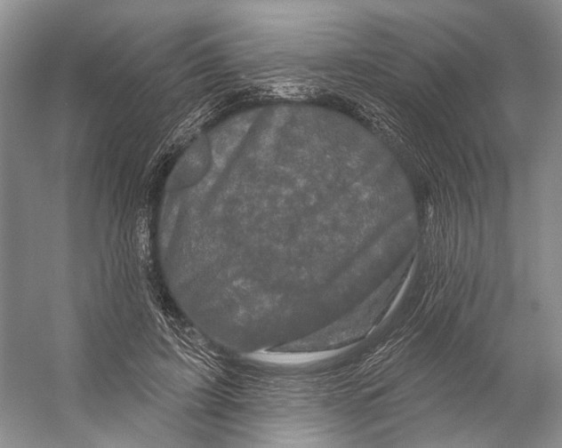X0000053140595200508081346