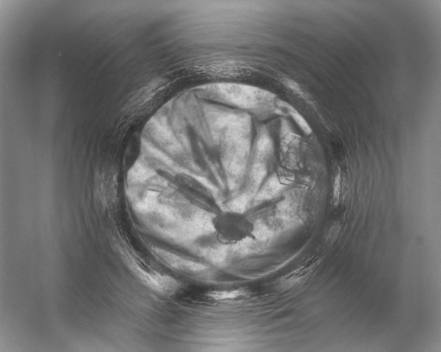 X0000053140596200508081346