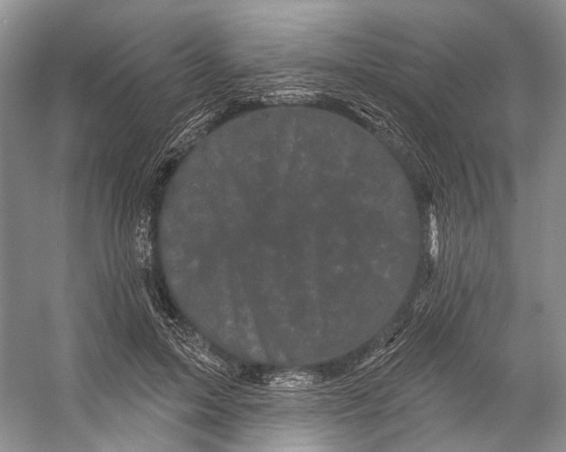 X0000053140599200508081346