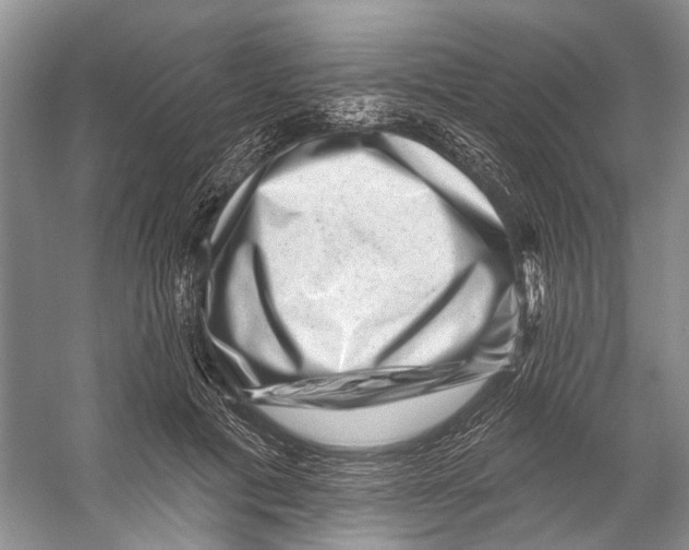 X0000053140601200508081346