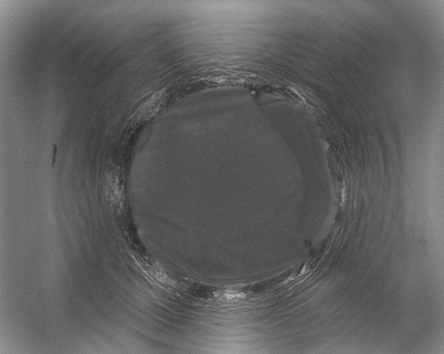 X0000053140607200508081346