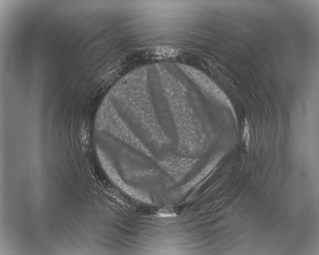 X0000053140608200508081346