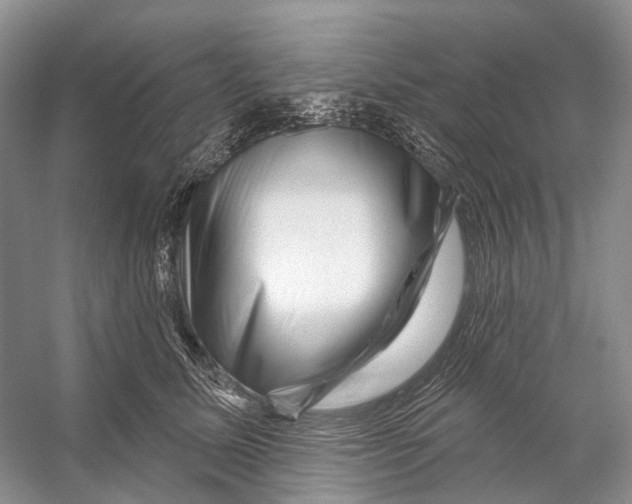 X0000053140611200508081346