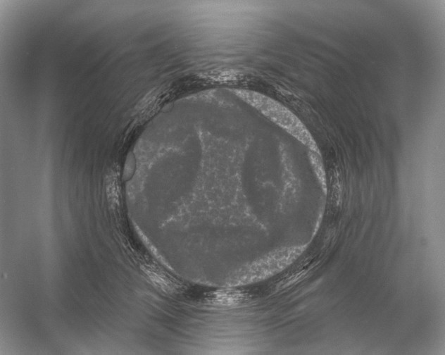 X0000053140612200508081346