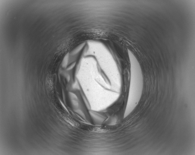 X0000053140613200508081346
