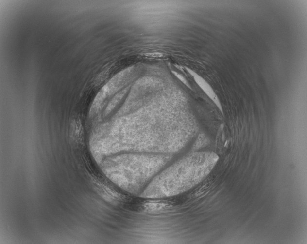 X0000053140614200508081346