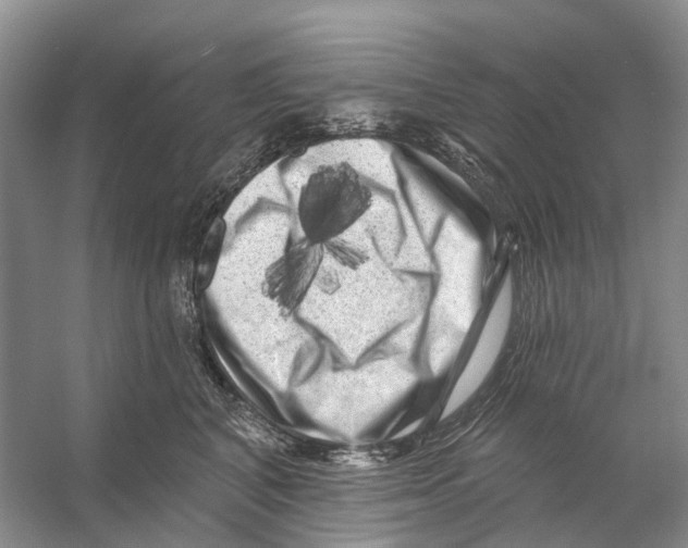 X0000053140616200508081346