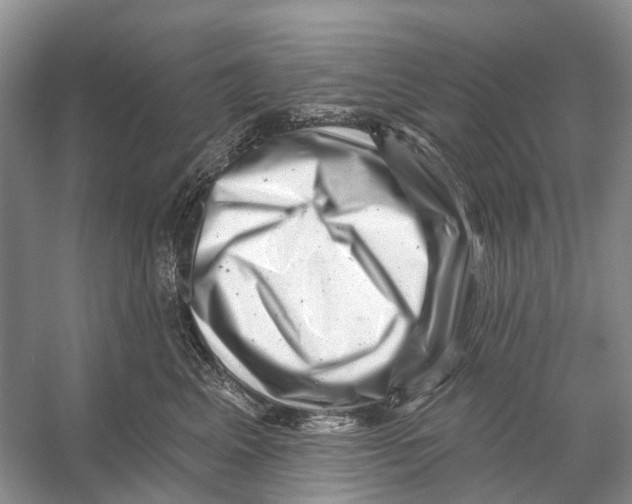 X0000053140617200508081346