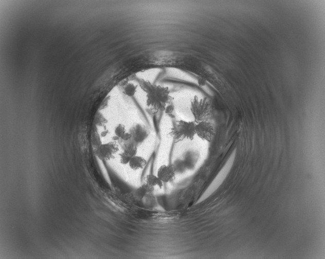X0000053140620200508081346