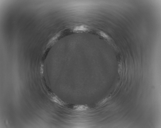 X0000053140621200508081346