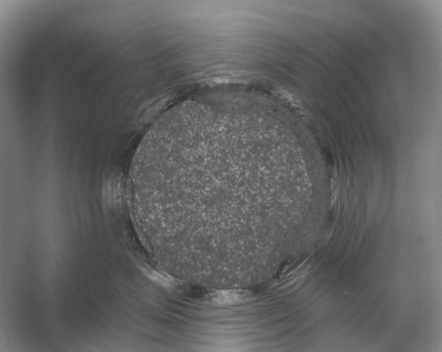 X0000053140623200508081346
