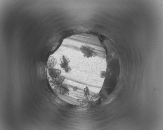 X0000053140624200508081346