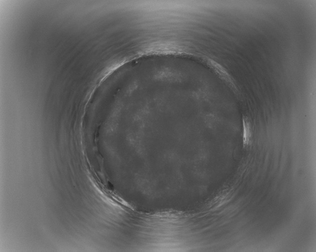 X0000053140627200508081345