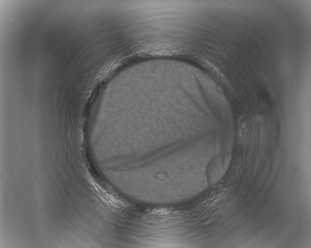 X0000053140635200508081345