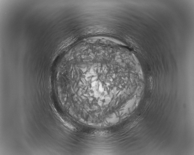 X0000053140638200508081345