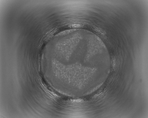 X0000053140645200508081345