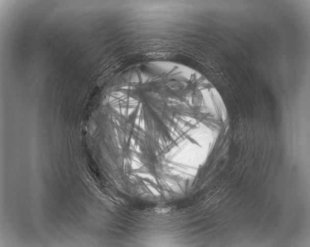 X0000053140647200508081345