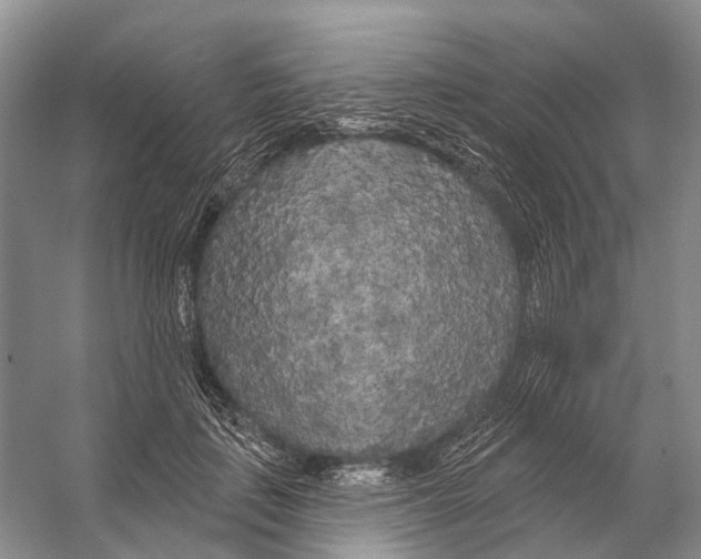 X0000053140651200508081345