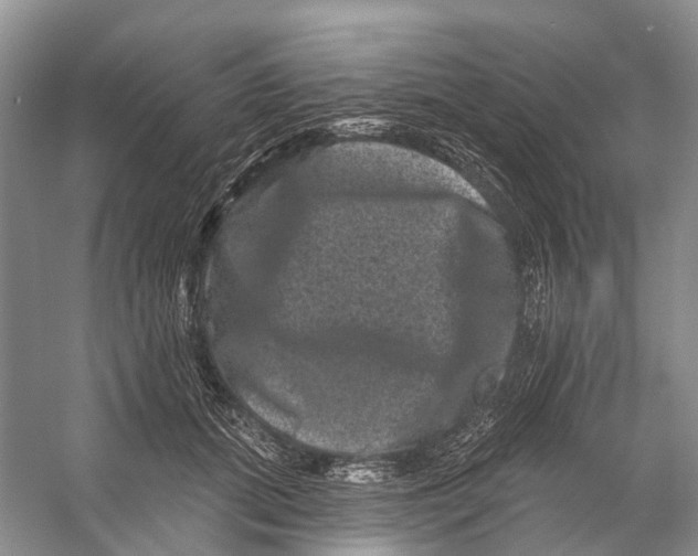 X0000053140655200508081345