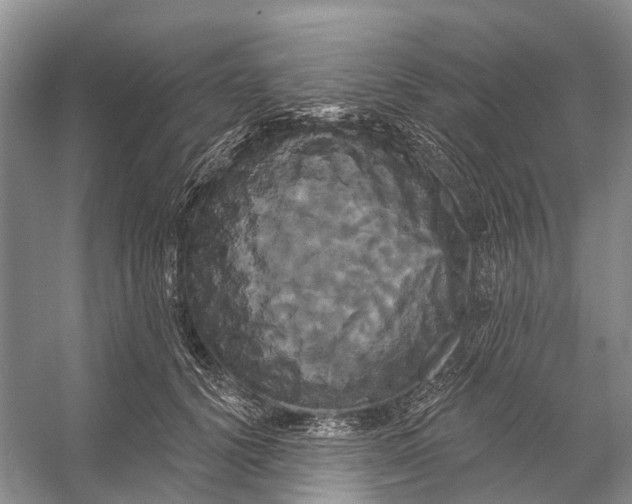 X0000053140656200508081345