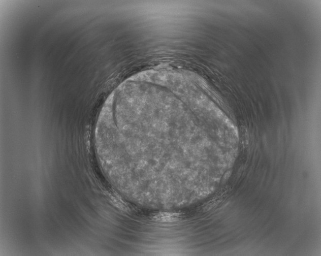 X0000053140664200508081346