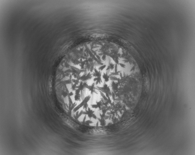 X0000053140668200508081346